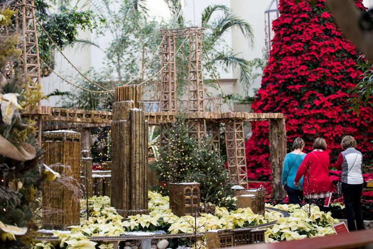 Lauritzen Gardens' poinsettia display 'starts the whole season off