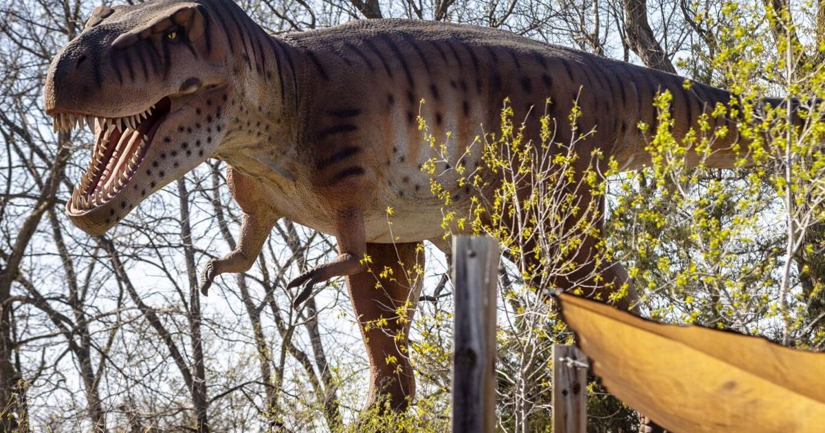 Lifelike dinosaurs now among the creatures at Wildlife Safari Park