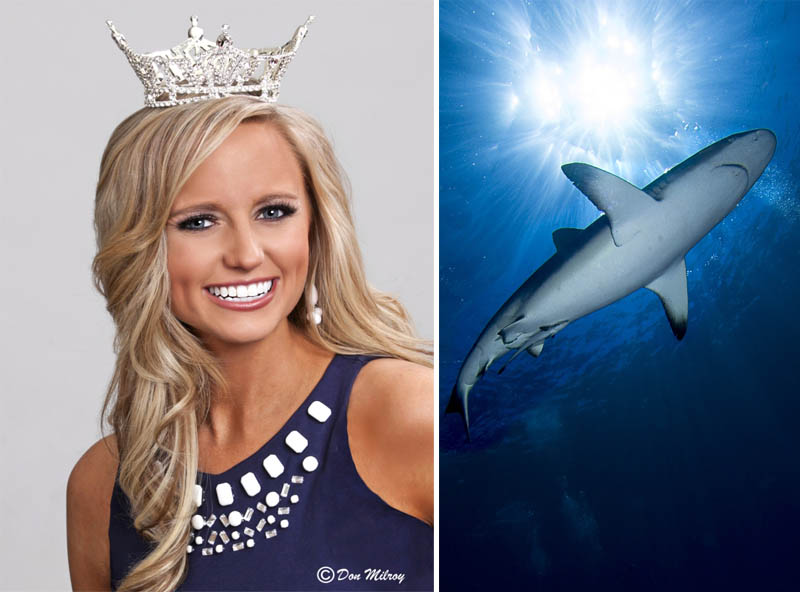 Miss Nebraska 2013 to assist with shark dissection this weekend just