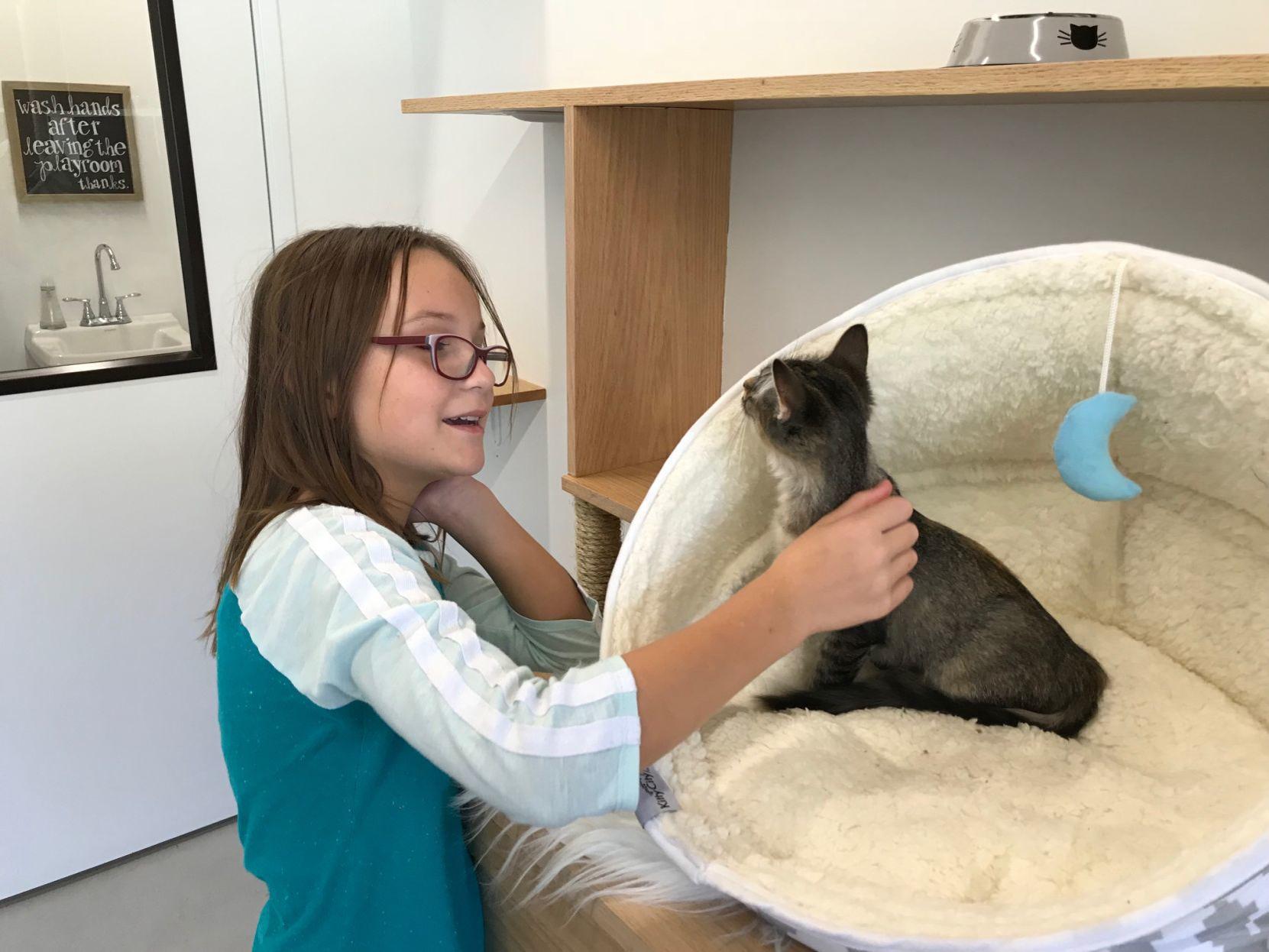 Want A Kitty With Your Latte You Can Get Both At Omaha S New Cat