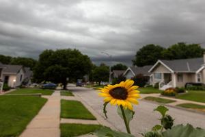 061326-owh-new-morningstorms-cm-03