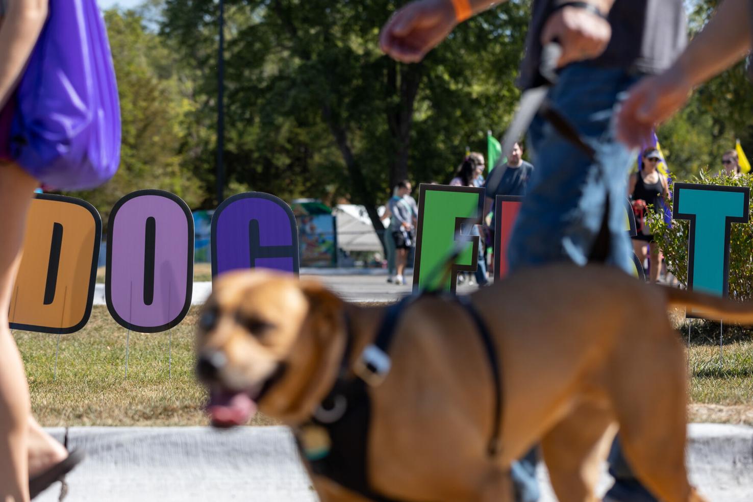 Photos 2024 Margre Durham Walk & Dog Fest