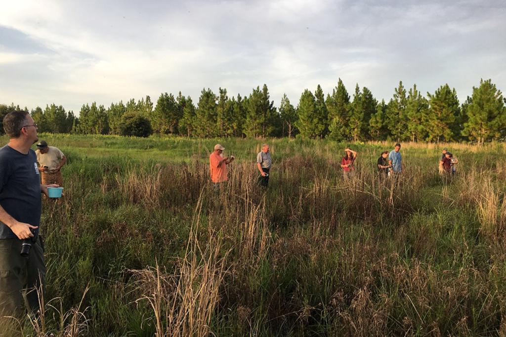 Omaha Zoo Helps Breed Release Critically Endangered Frogs Lifestyles Omaha Com