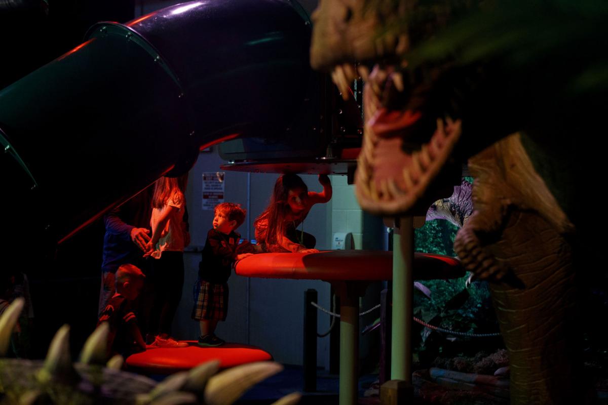 Photos Dinosaur Safari exhibit at Omaha Children's Museum