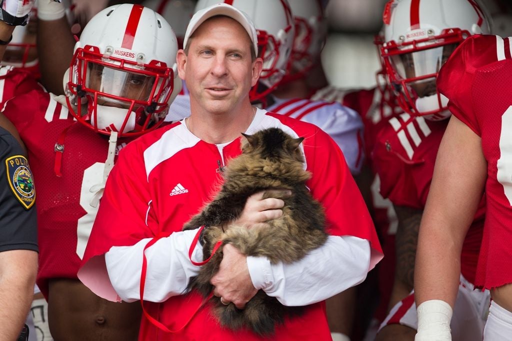 Mad Chatter: What ever happened to Bo Pelini's cat?; Who can beat the ...