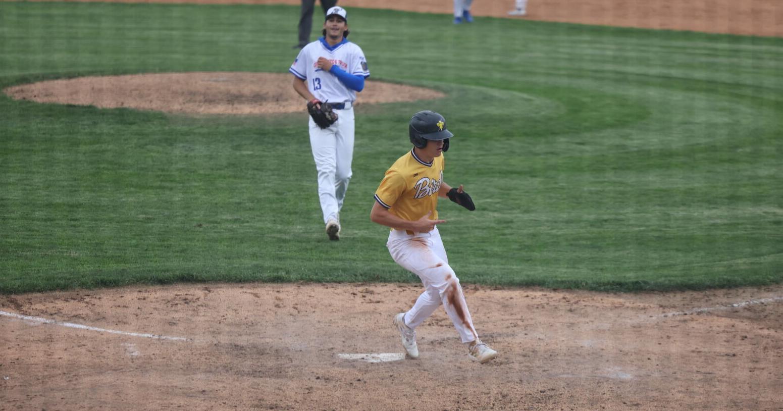 Wild pitch walk-off for TBirds over Titans - Vimarsana News