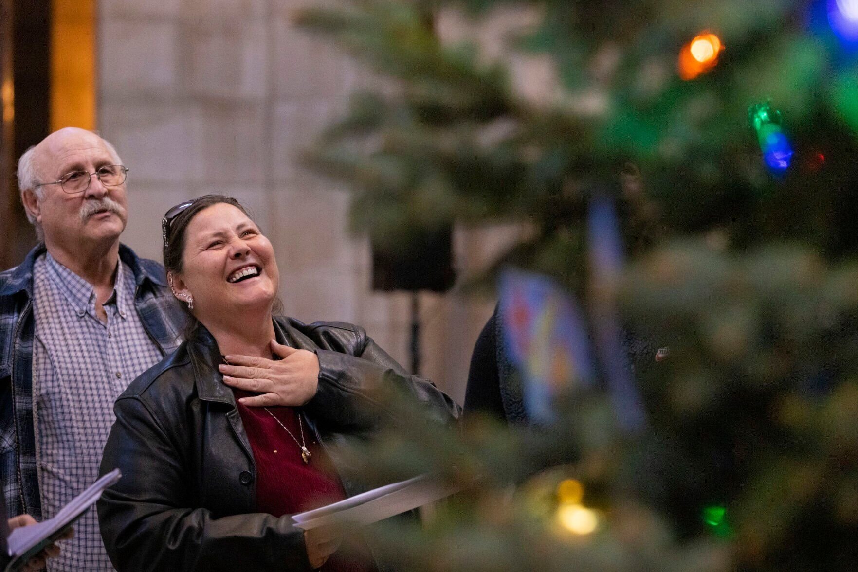 Nebraska officials looking for the 2023 Capitol Christmas tree