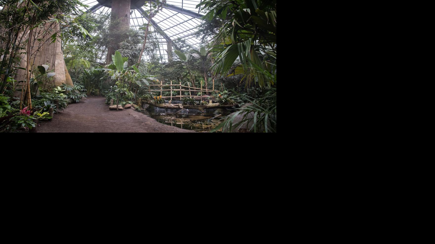 Omaha's Henry Doorly Zoo announces reopening of the Lied Jungle and