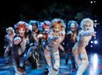 Review: 'Cats,' now at the Orpheum, clawed its way into my heart