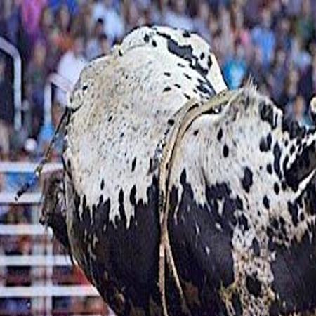 Omaha Firefighter Back On Job After Long Recovery From Bull Riding Injuries Local News Omaha Com