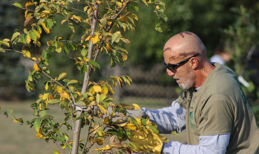 Gretna Arbor Society Tree Planting