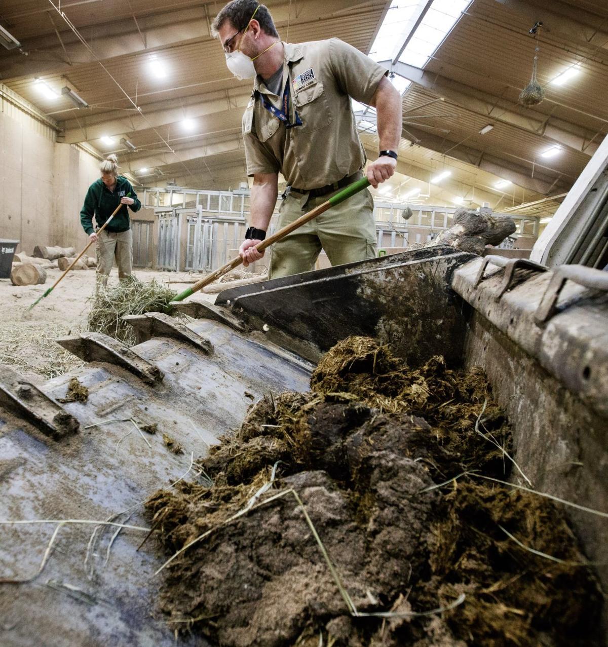What does the Omaha zoo do with all that animal poo? Henry Doorly Zoo