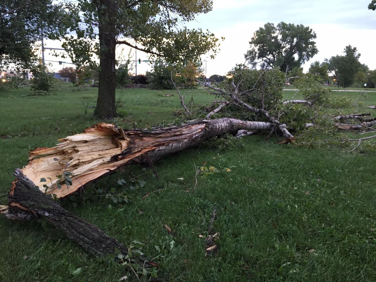 Omahans cleaning up after storm knocks down trees, takes out power to