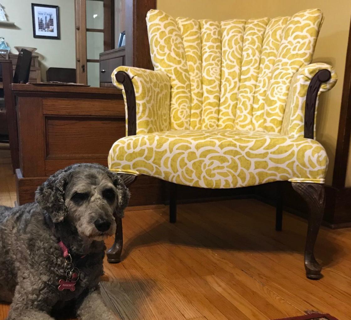 Ducey How Metro College Upholstery Classes Help Me Transform My Home One Cushion At A Time Inspired Living Omaha Com