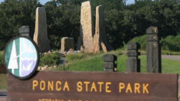 Davis Every Camping Spot Can Offer Its Own Adventure Local