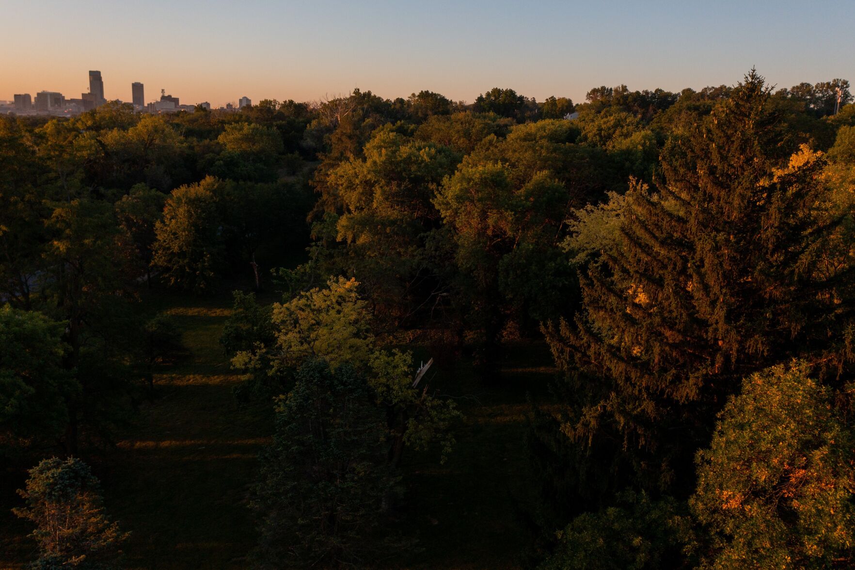 Storm damage emerald ash borer add urgency for group hoping to