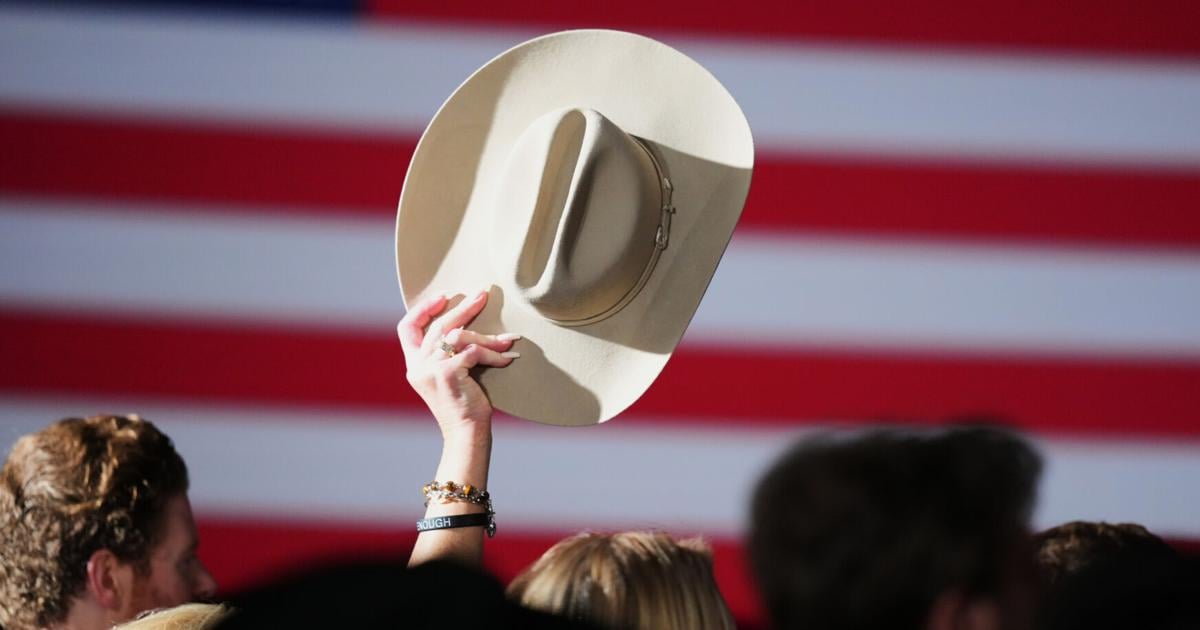 Takeaways from the first elections of the 2026 midterm campaigns