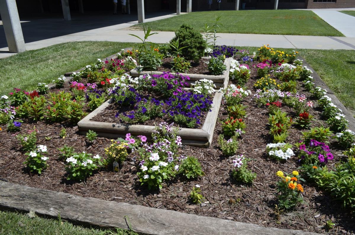 'Calming' pollinator gardens planted by Omaha inmates are thriving