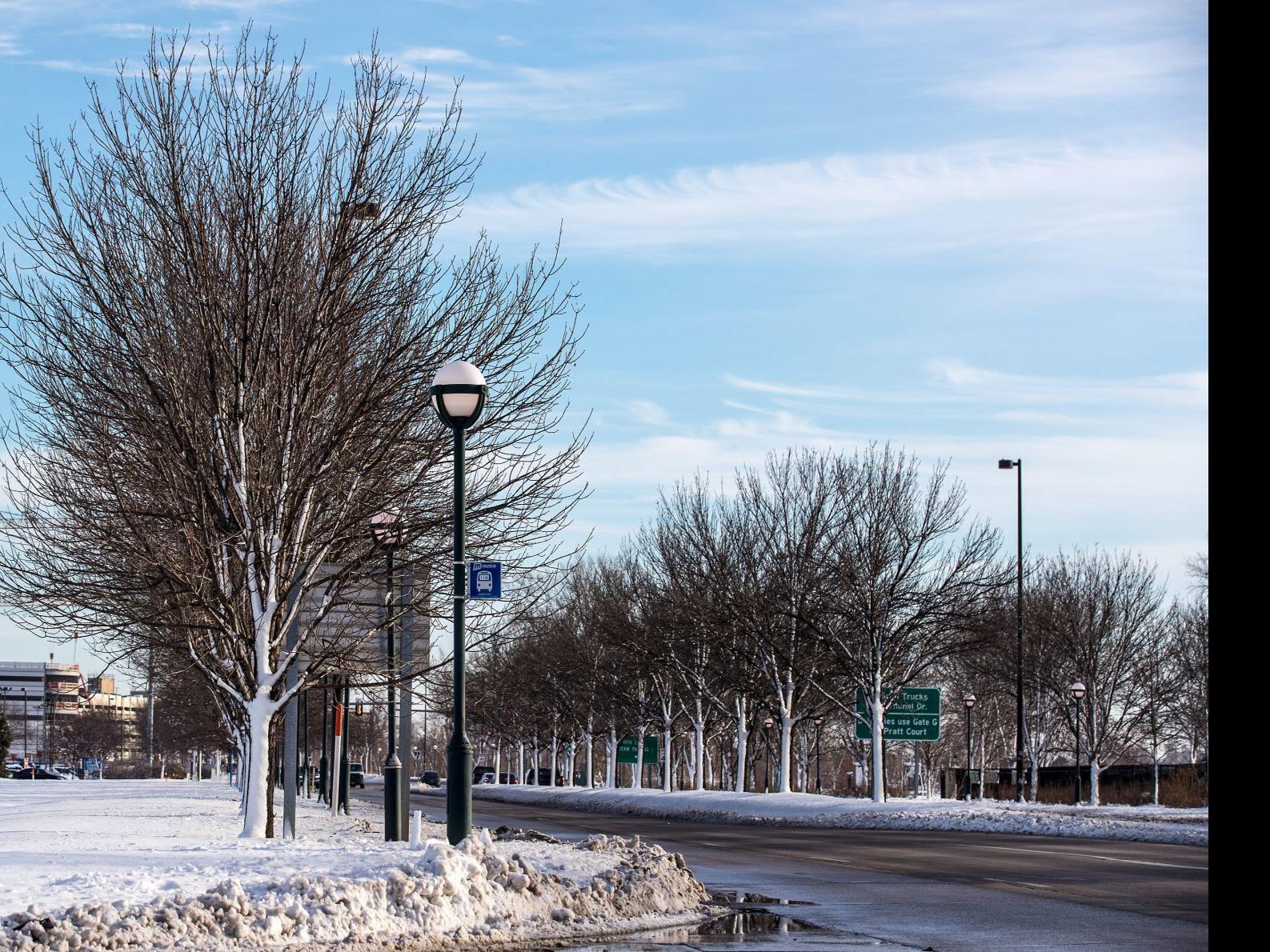 City Council Kills Proposal To Give Lanoha Nurseries The String Of Pearls Contract With No Bid Local News Omaha Com