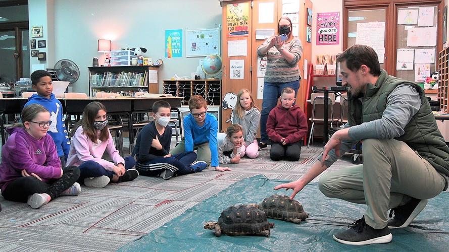 The Tale of the Tortoise and the Software-p1