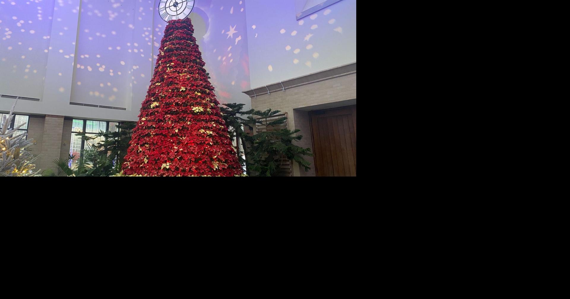 Omaha's Lauritzen Gardens wants visitors to find joy there during ...