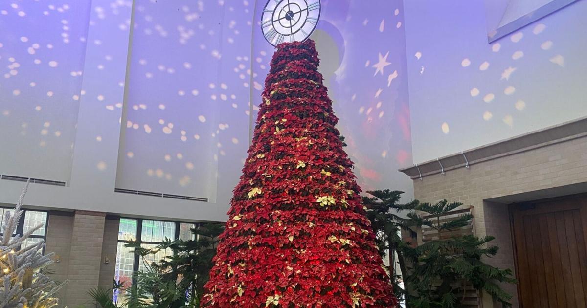 Omaha's Lauritzen Gardens wants visitors to find joy there during ...