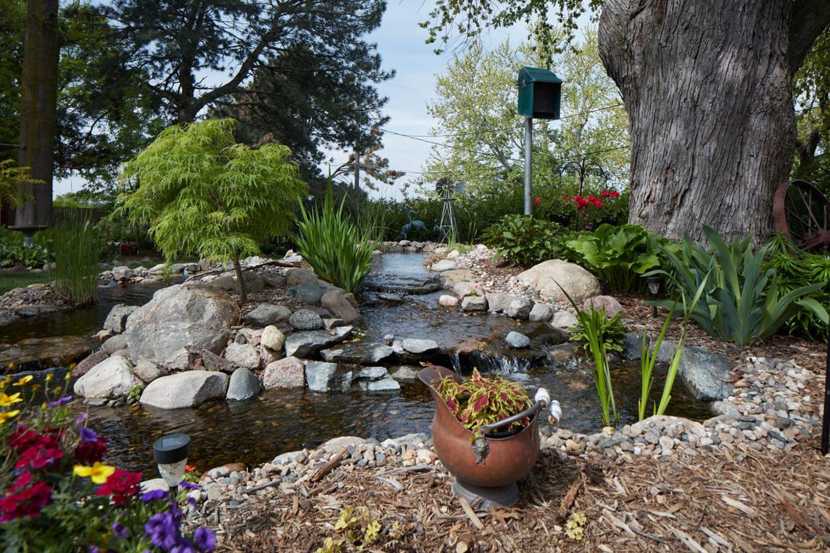 These Omahans Have A Mountain Stream In Their Backyard That S A Bird Magnet Inspired Living Omaha Com
