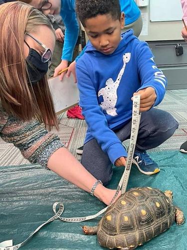 The Tale of the Tortoise and the Software-p3
