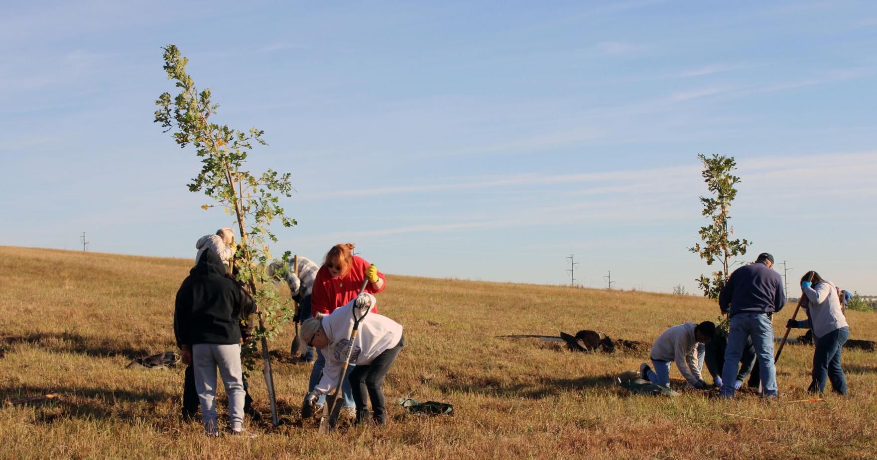 Nonprofit plants 200 trees in Papillion for fallen heroes - Vimarsana News