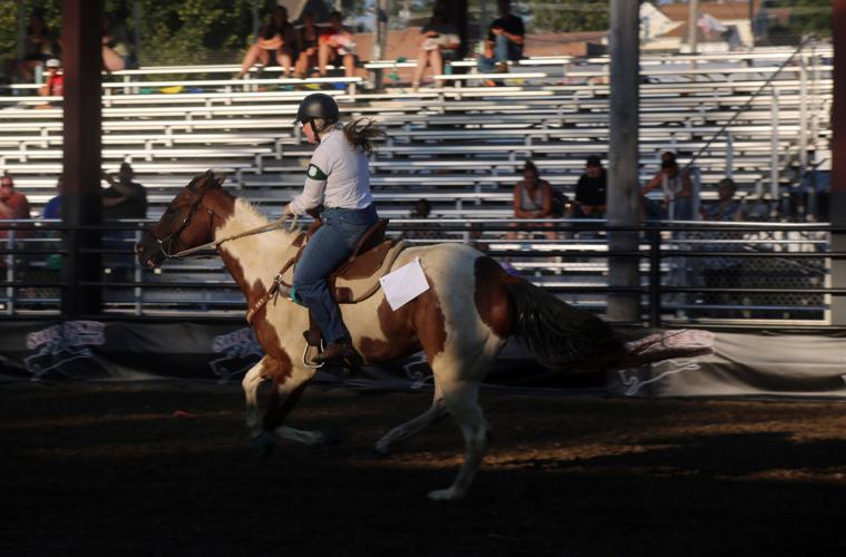 080724-sni-news-4h-horse-10.jpg