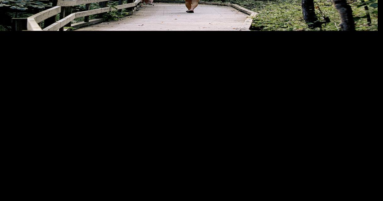 Build fairy houses at Fontenelle Forest
