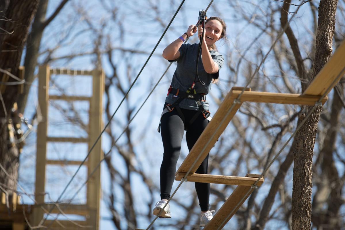 Go on a treetop adventure