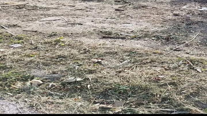 Lawn Care Company Dumps Yard Waste On Woman S Lawn Over Billing Dispute Money Omaha Com