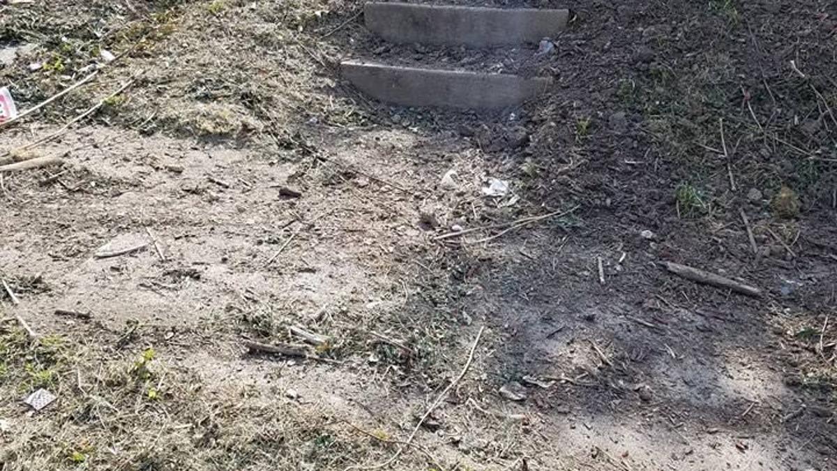 Lawn Care Company Dumps Yard Waste On Woman S Lawn Over Billing Dispute Money Omaha Com