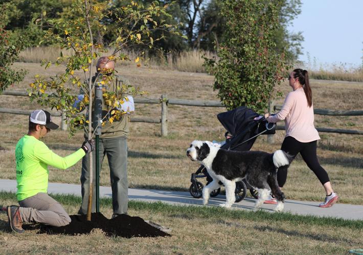 Gretna Arbor Society Tree Planting
