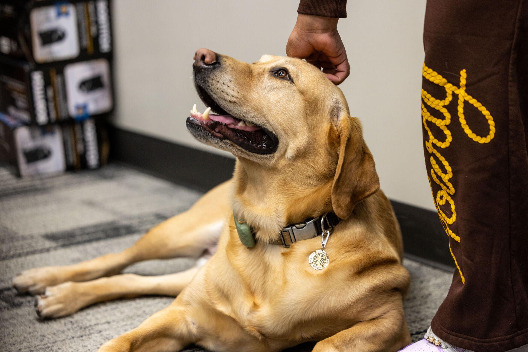 Omaha Fire Department shows student's drawing of support dog