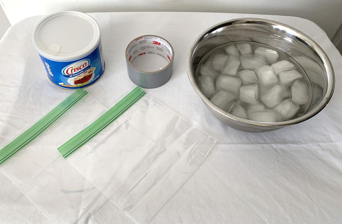 5 cool facts about polar bears — plus a fun experiment to learn how