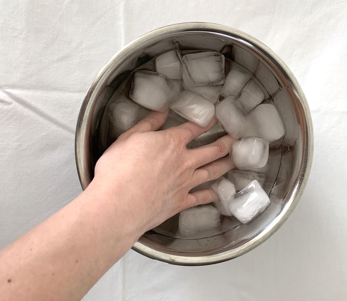 5 cool facts about polar bears — plus a fun experiment to learn how