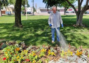 City horticulturalist 2.jpg