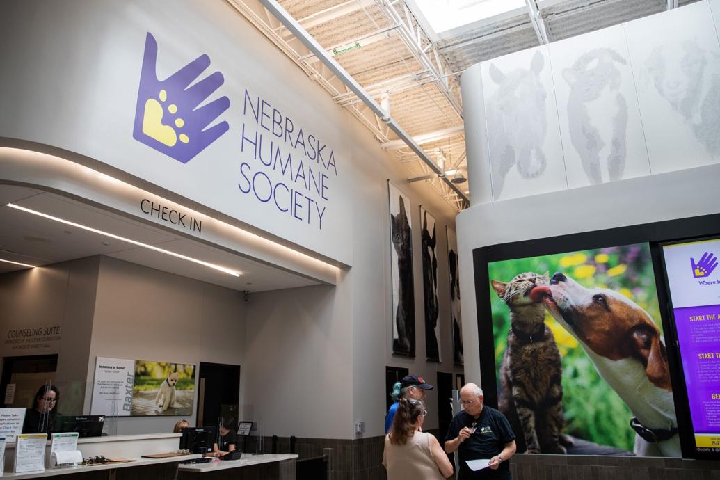 10 neglected dogs rescued and transported to the Nebraska Humane