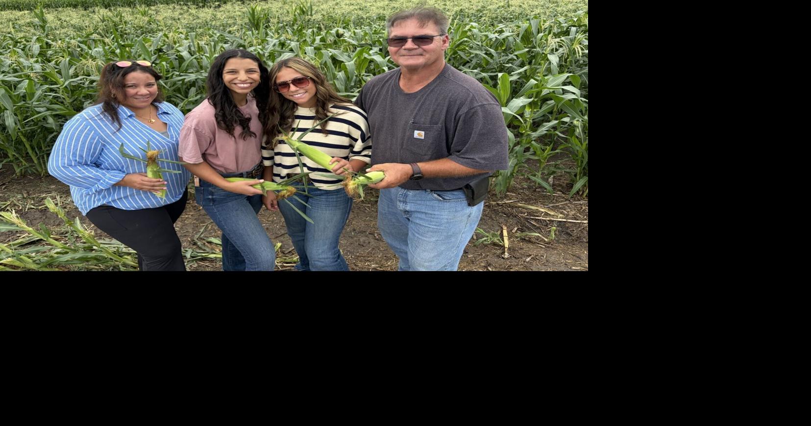 Sweet corn goes from the McCool Junction Snider farm direct to York County tables