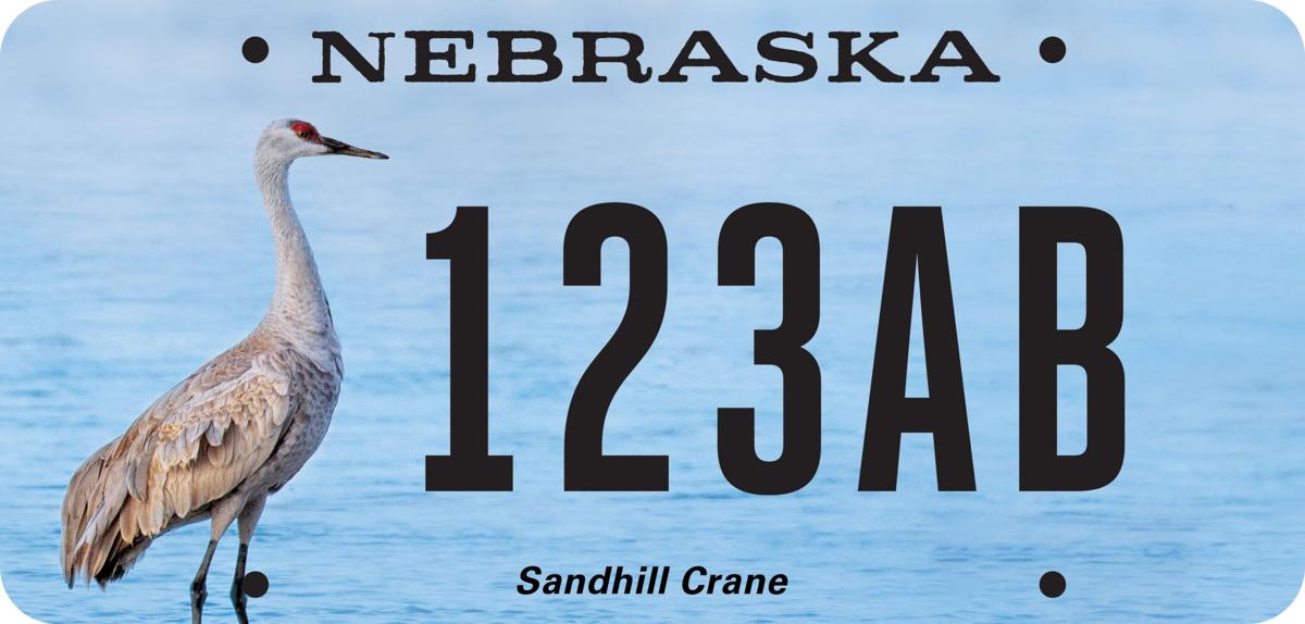 Bighorn sheep, sandhill crane among Nebraska's latest specialty license