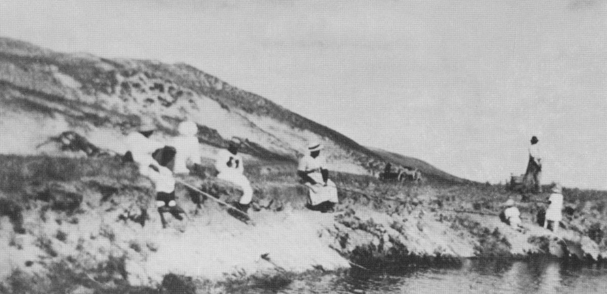 Carving out a place for themselves Black settlers’ pursuit of dream in