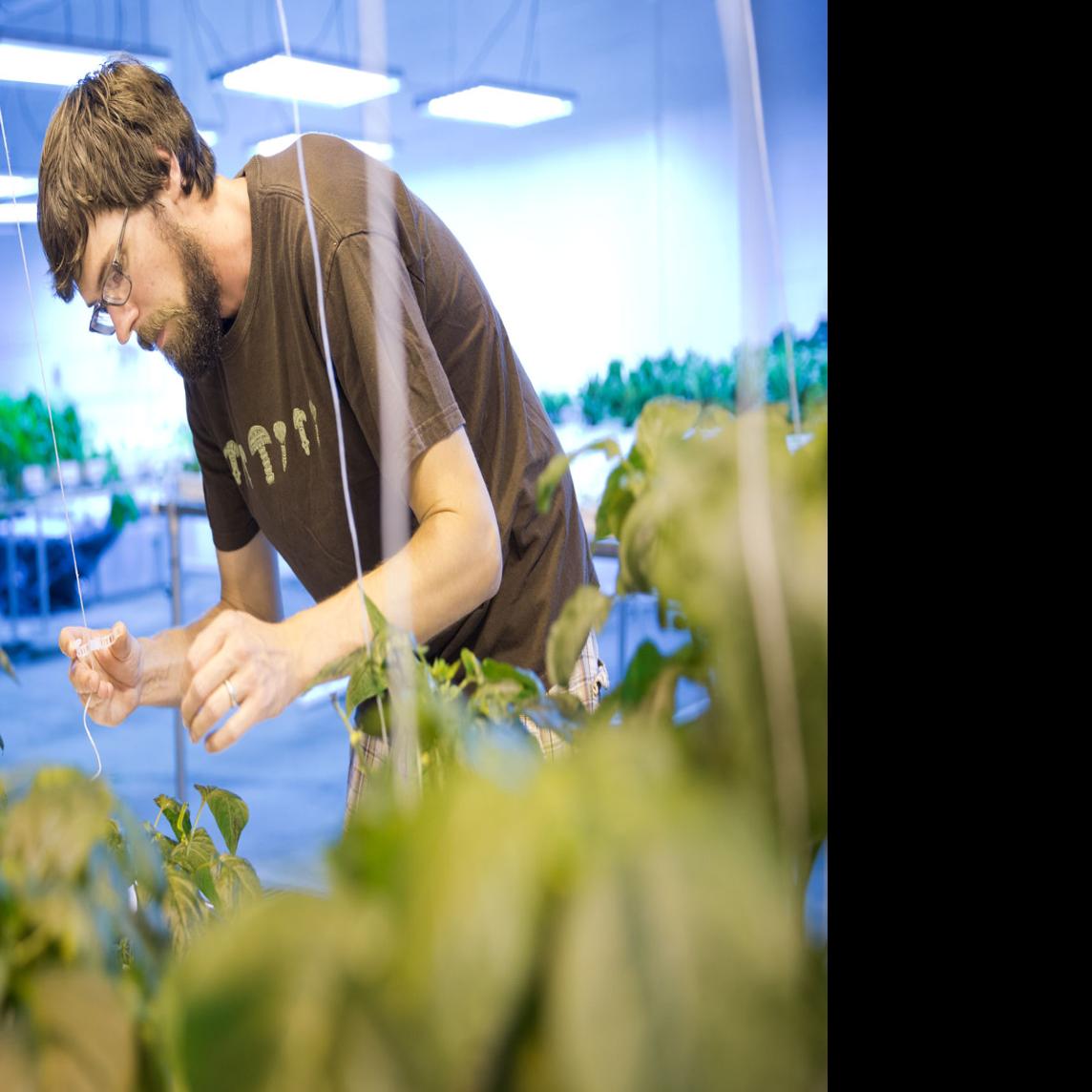 Omaha S First Commercial Enclosed Hydroponic Garden Inside