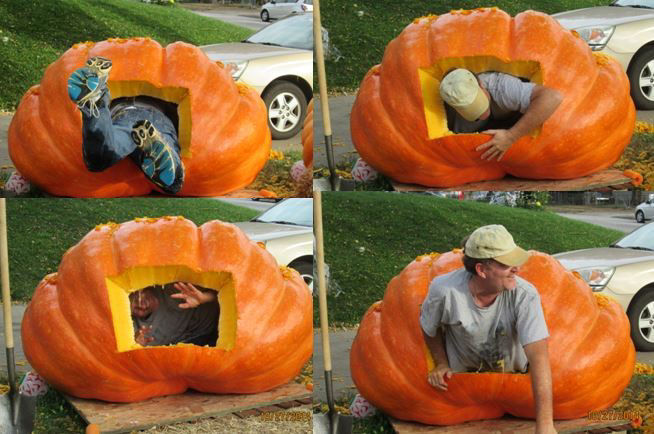 unable-to-re-create-1-400-pound-record-holder-pumpkin-grower-turns-to