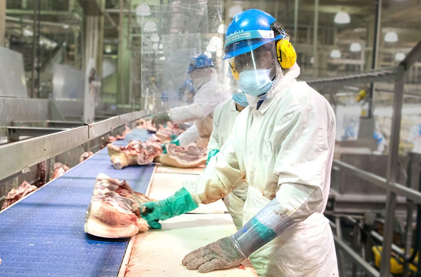 Safe Cutting for Butchers and Meat Packers - Safe At Work California