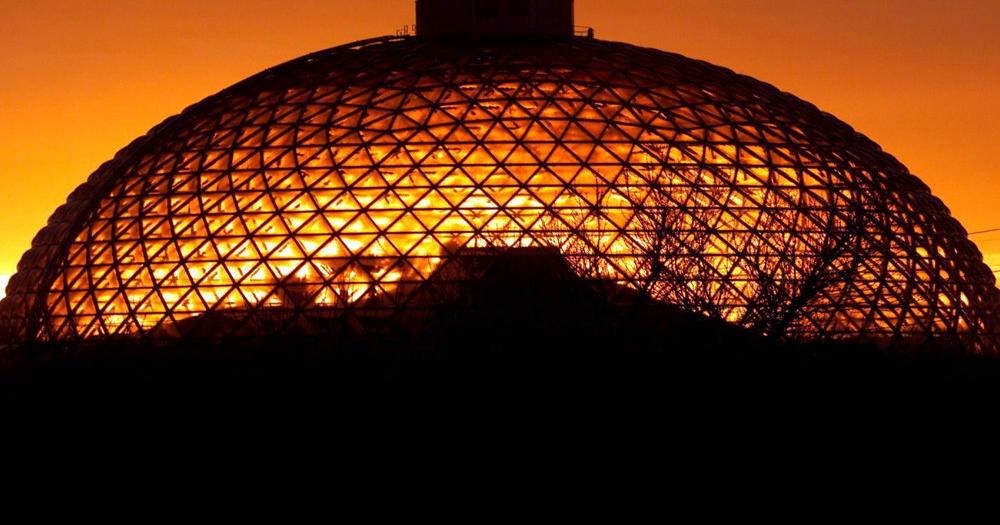 Late Nights at the Zoo events to return this summer at Omaha's Henry