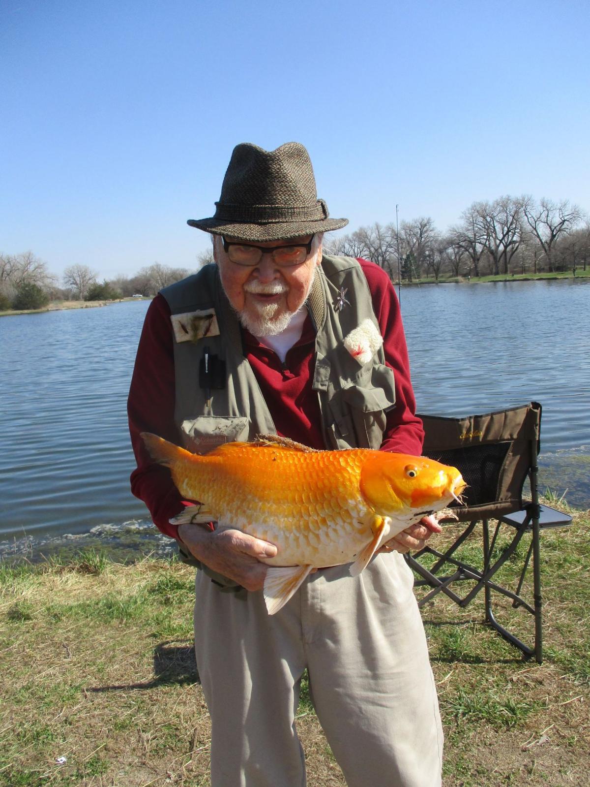 Outdoors Notes Catchable Rainbow Trout Being Stocked Across Nebraska Local Sports Omaha Com