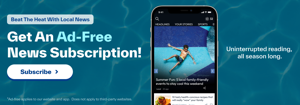 Falcon & DSI - The Local Edit - Newsletter Ad