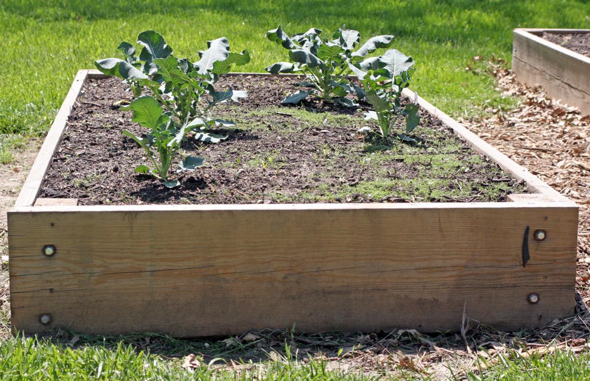 Community garden file